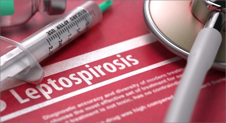 leptospirosis