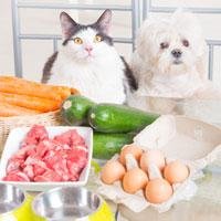 Cooking for Your Pets