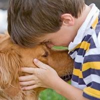 Microchipping Your Pet