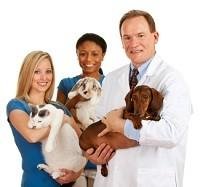 Does Your Dog Suffer From Anxiety?